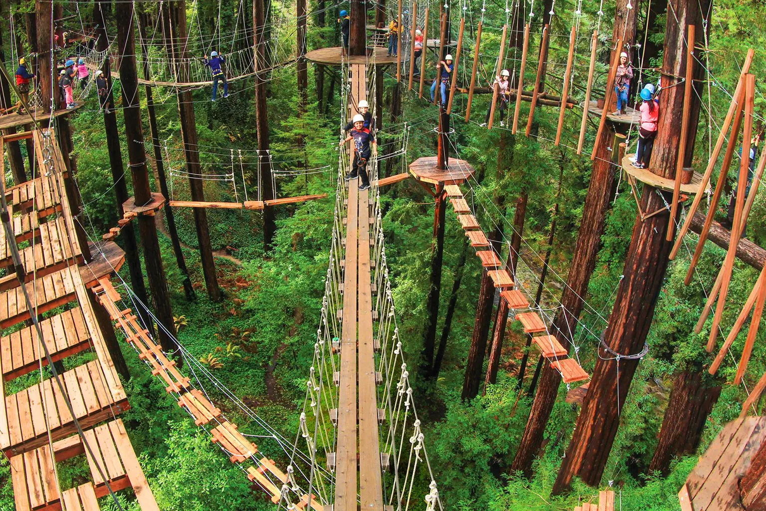 Redwood Canopy Tour