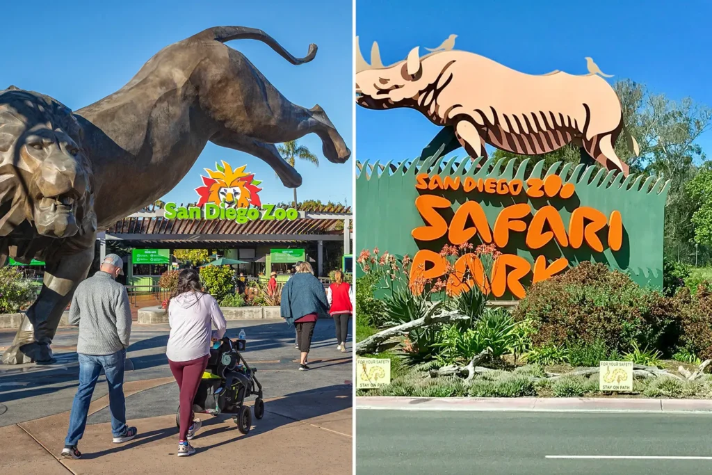 San Diego Zoo vs Safari Park